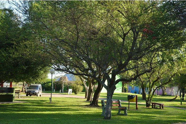 Parque arbolado con bancos